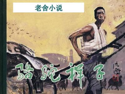 桃红世界wwe官方官网进口